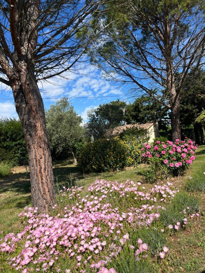 Apartmán Mas De L'Estiou Monteux Exteriér fotografie