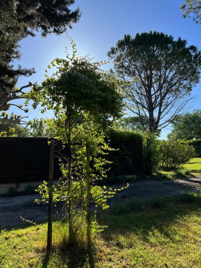 Apartmán Mas De L'Estiou Monteux Exteriér fotografie
